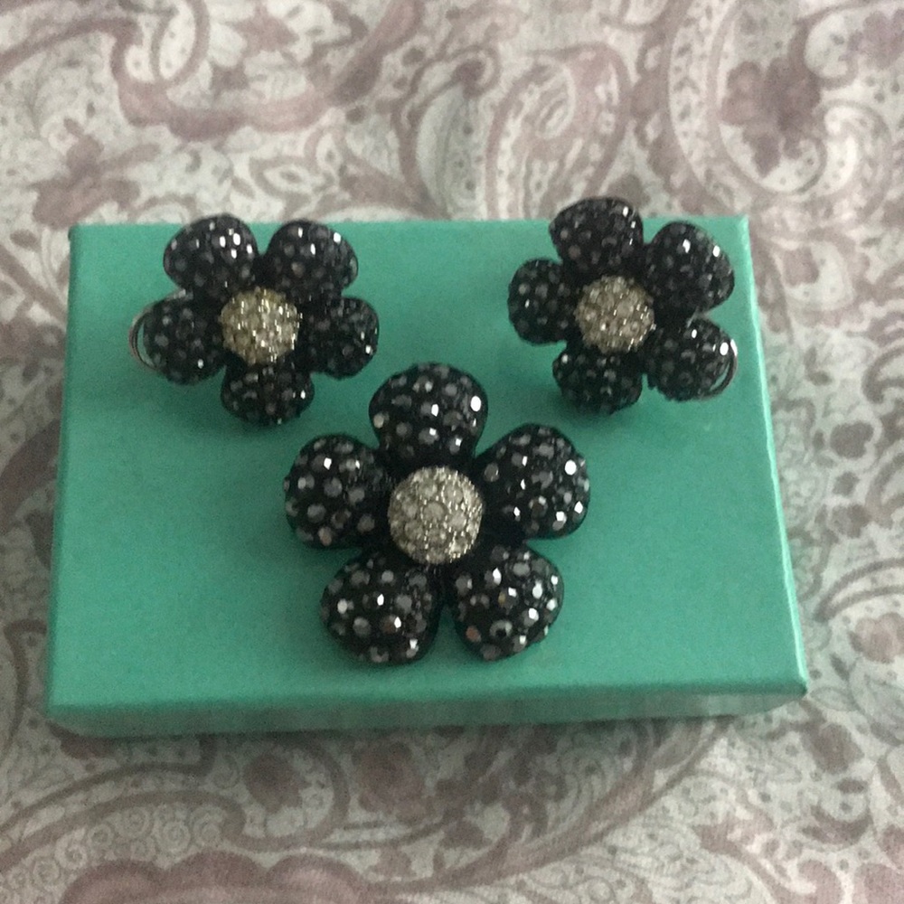 Brooch pin and earring set